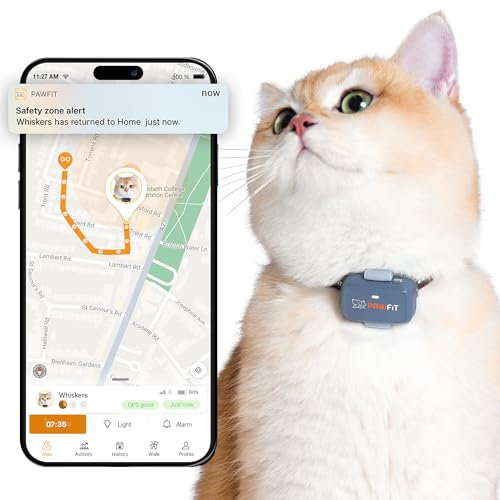 Pawfit Localizzatore GPS Lite for Cats 4g | Monitoraggio in tempo reale | Monitoraggio dell'attività | Cronologia delle posizioni | Portata illimitata | Collare di sicurezza incluso | Grigio lilla