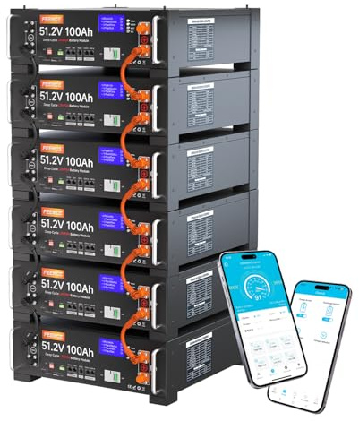 FEENCE 6er-Pack 48V 100Ah LiFePO4-Lithiumbatterie, 51,2V 600Ah 30,72 kWh Kapazität, 48V Niederspannungs-Wechselrichterkommunikation, 3U-Rackmontage, über 6000 Zyklen für Off-Grid, Solarsystem
