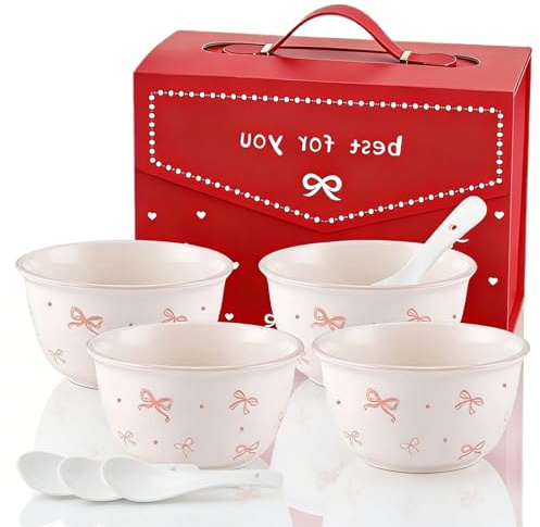 Ceramic Bowls and Spoons set, Rice Bowl Set with Gift Box, Soup Bowls
