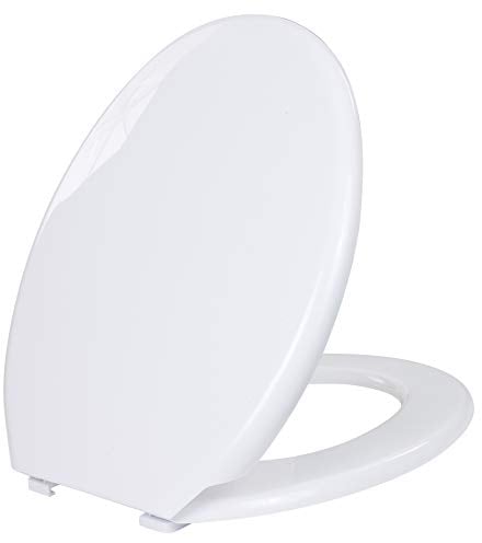 Coloured Universal Toilet Seat (White)