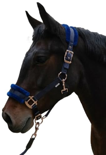 Brama West Halfter Pferd Fiona Plüschaalfter 2-Fach verstellbar - mit rosegoldenen Beschlägen - Blau - Gr. Cob