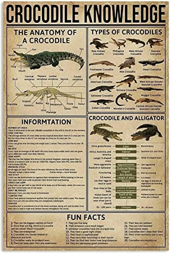 Krokodil-Wissen, Metallschilder, Wanddekoration, Aluminium-Poster, The Anatomy Of A Crocodile, Blechposter, Schule, Club, Café, Schlafzimmer, Badezimmer, Küche, Zuhause, Kunst, 20,3 x 30,5 cm