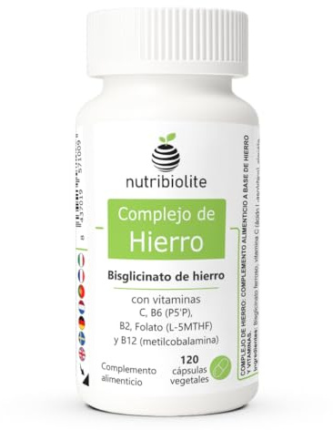 Hierro bisglicinato y vitamina C, B2, B6, B12 y Folato, 120 cápsulas | Con folato activo 5-MTHF, vitamina B6 P5P, B12 metilcobalamina y B2, hierro quelado, vegano, sin aditivos sintéticos, 4 meses