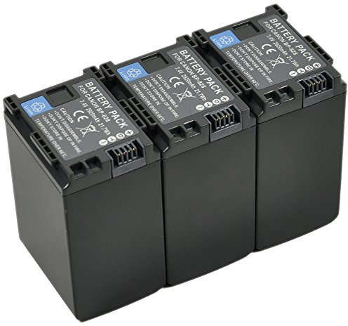 btbai batteria per Canon BP 820, BP 828, VIXIA HF G30, XA20, XA25 Video Camcorder, 2,67 a