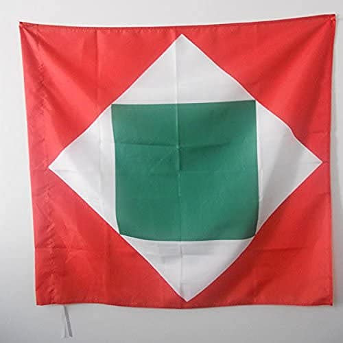 AZ FLAG Bandera de la REPÚBLICA Italiana 1802-1805 90x90cm para Palo - Bandera Ejercito DE Francia 90 x 90 cm