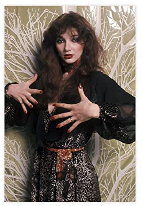 Singer Kate Bush 20 Leinwand-Poster, Schlafzimmer, Dekoration, Sport, Landschaft, Büro, Raumdekoration, Geschenk, ohne Rahmen, 30 x 45 cm