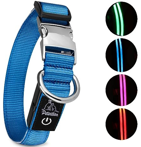 Petsation Leuchthalsband für Hunde [Das Original] Leuchtendes LED Hundehalsband spazieren gehen auch im Dunkeln Lange Akkulaufzeit – Sicher Dank hochwertigem Metallverschluss (Blau, M (38-50 cm))