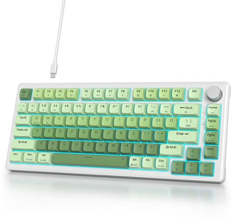 SbocKeeb 75% keyboard with Knob, Custom Wired Mechanical Gaming Keyboard TKL 75 Percent, Gasket Creamy Keyboard RGB Backlit, American QWERTY, Pre-lubed Switch for Mac/Win V500 Gradient Green