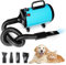 Memows Soffiatore per Cani, Asciugacapelli per Cani 2800W, Phon Cani velocità e Temperatura Regolabili, Meno Rumore Asciuga Cane Toelettatura Animali con 4 Ugelli per Uso Privato e Professionale (Blu)