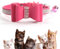 kingkindshun Collier en Réglable pour Chat Strass et Clochettes et avec Joli Arc,Bling et Collier de Chaton de Sécurité Réglable au Matériau Souple Design (6.8-10.8 in) (Rose)