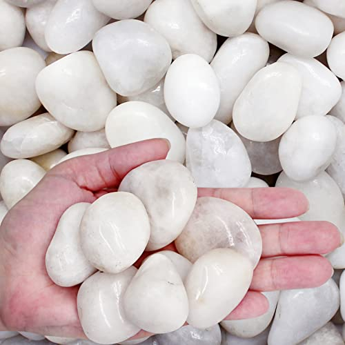 LONTOM 1 kg weiße Kieselsteine, natürlicher dekorativer Stein, polierter Kies, Flusssteine, für Pflanzen, Heimdekoration, Aquarium-Kies, Vasenfüller, Feengarten, Landschaftsbau, Outdoor-Steine