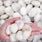 LONTOM 1 kg de galets blancs décoratifs naturels polis pour plantes, décoration d'intérieur, gravier d'aquarium, remplissage de vase, jardin féérique, aménagement paysager extérieur
