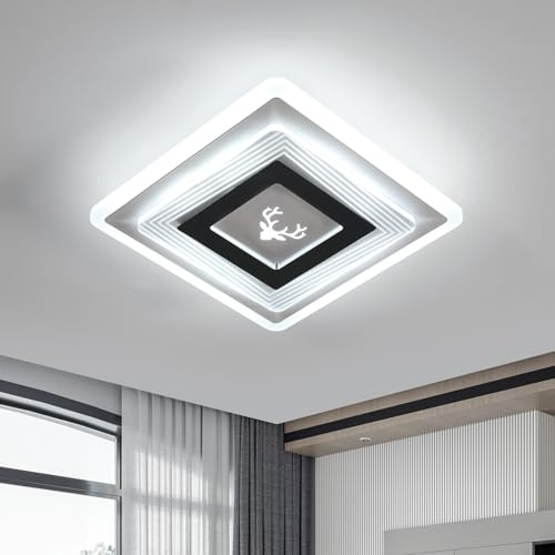 DELIPOP LED Deckenleuchte Weiß, 22W 2500LM Moderne Deckenlampe Quadratische, Deckenbeleuchtung Acryl für Schlafzimmer, Wohnzimmer, Flur, Arbeitszimmer, 6500K Kaltweißes Licht