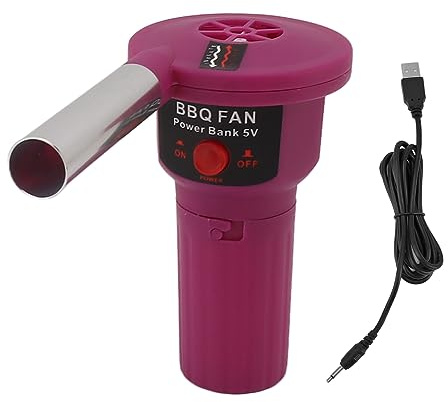 NBVGHPSRW Ventilateur électrique portable de 5 V pour barbecue, allume-feu de grill rechargeable par USB avec tube en aluminium pour le camping en plein air, la randonnée, le pique-nique et