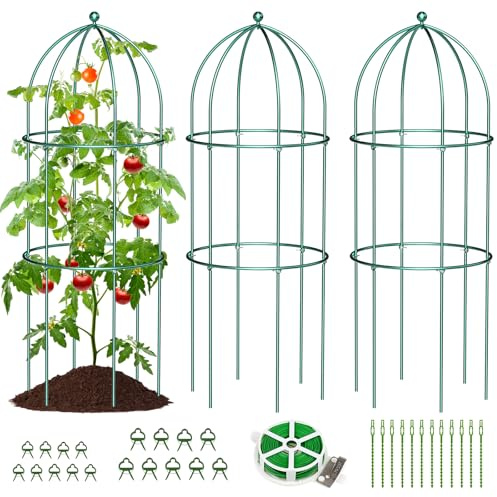 SUNYRISY 3 Stück Metall Rankhilfe Garten Obelisk 80x40cm | Rostschutz Rankgitter Käfige für Kletterpflanzen wie Blumen, Tomaten, Rosen, Metall Terrasse Gartenbogen Dekoration, Grün