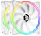 EMPIRE GAMING - Ventilador de Caja PC Gamer 2x120 MM - Flujo de aire elevado - RGB Direccionable LED PWM 3 Pines 5 V - Dual Loop – Silencioso – Refrigeración 12 CM - Blanco