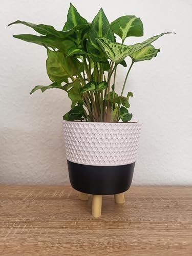 Maceta con patas en 4 tamaños diferentes, maceta blanca y negra, patas disponibles en cuatro colores, impresión 3D. (Mate Desert Tan, S)