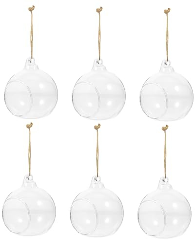 SHINEOFI 6 pièces Vase Verre Suspendu Transparent Boule pour Plantes Micro Paysage Décoration Intérieure