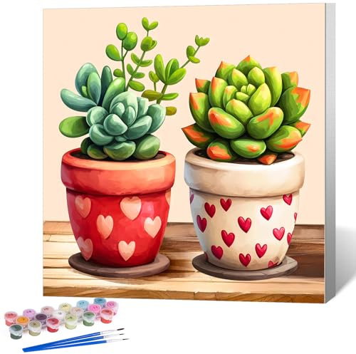 Malen nach Zahlen Erwachsene mit Rahmen - Sukkulente Pflanze, 25x25 cm | DIY Malset auf Leinwand für Anfänger, Paint by Numbers with Frame, Geschenkidee & Wanddekoration