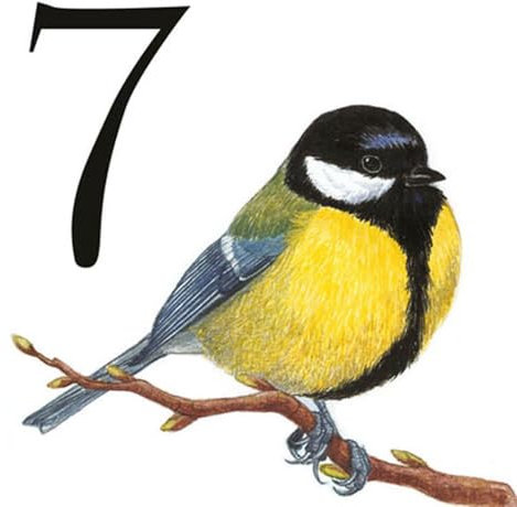 Azul'Decor35 Número de casa a bajo Precio en Loza de Barro: ¡Elija su número y el tamaño del Panel de su Puerta!