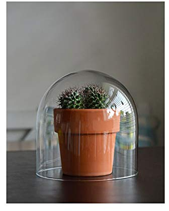 EMH Small Handmade Mouth Blown Clear Circular Glass Display Cloche Bell Jar Dome 20 cm