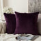 MIULEE Samt Kissenbezug Kissenhülle Kissenbezüge Sofakissen Dekorative Dekokissen Couchkissen Deko Bezug Überzug Zierkissen für Sofa Wohnzimmer Schlafzimmer 2er Set 55x55 cm Aubergine Lila