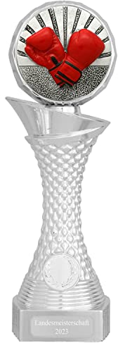 Druckspezialist Boxen Pokal AVORD Kickboxen Silber mit Gravur (S - 23 cm)
