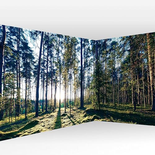 murando PREMIUM Vlies Eckfototapete Wald Landschaft 539x250 cm Tapeten Wandtapete XXL Moderne Fototapete Wanddeko Design Wand Dekoration Wohnzimmer Schlafzimmer Büro Flur Natur Landschaft