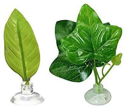 YYAOGAGNG 2 Pcs Betta Leaf Floating Betta Bed Leaf Hammoc Betta Fish Leaf Pad Hammock for Betta Habitat Breeding Resting