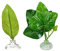 YYAOGAGNG 2 Pcs Betta Leaf Floating Betta Bed Leaf Hammoc Betta Fish Leaf Pad Hammock for Betta Habitat Breeding Resting