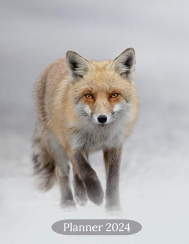 2024 Planner: Wildlife Fox In Snow Design Diary Week To View With Notes and To Do Lists