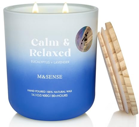 M&SENSE Eukalyptus & Lavendel Duftkerzen im Glas, 400g große Sojakerze mit zwei Dochten, 80h Brenndauer, Aromatherapie Kerze für Yoga, Spa, Meditation. Geschenk für Freundin, Ehefrau, Mutter