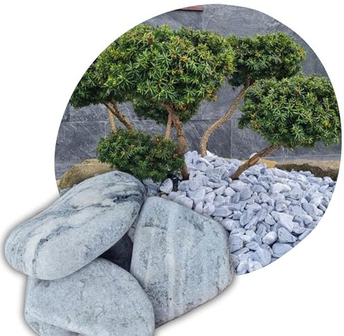 V-PREMIUM SOLUTION - Galets décoratifs gris 4 à 8 cm – Pierres décoratives – Petites pierres décoratives – Décoration de jardin – Décoration d'aquarium – Pierres décoratives pour vases