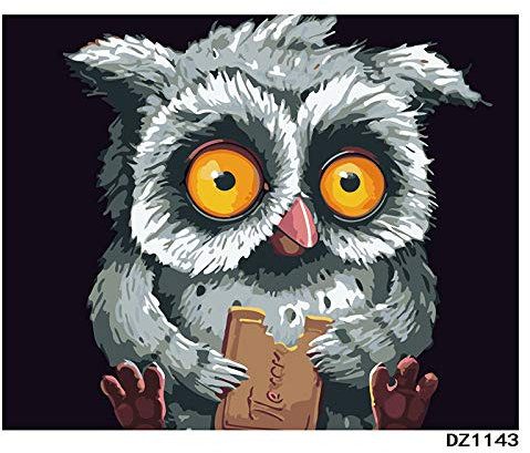 ABEUTY Wandkunst Eule Tier schwarz Nacht- Malen nach Zahlen, DIY Ölgemälde auf Leinwand Gemälde 40x50cm