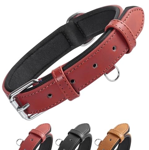 Grand Line Collier de Chien Ajustable Coussin Moelleux Cuir Rembourré avec Perforatrice 3 Couleur 4 Tailles, Rouge(S)