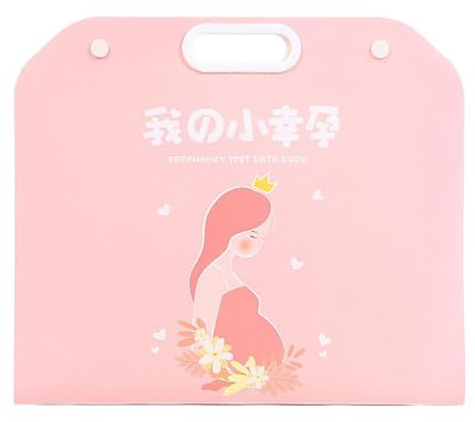 ZORESCOLEO 40/60 pages pour rapport de grossesse - Organisateurs de documents - Listes de contrôle - Insert de dossier - Livret de rangement portable