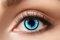 Eyecatcher 84078841-735 - Farbige Kontaktlinsen, 1 Paar, für 12 Monate, Blau, Karneval, Fasching, Halloween