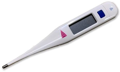 Digital Thermometer Itho