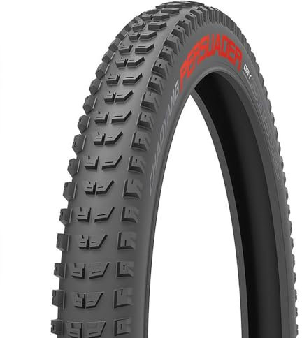 CHAOYANG Persuader Dry 60TPI Tubeless Ready, Nerón, Unica, Unisex Adulto, 29 x 2,6