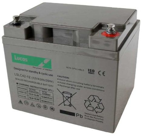 FNC12420 Sealed Lead Acid VRLA Battery 12V 42Ah SLC42-12