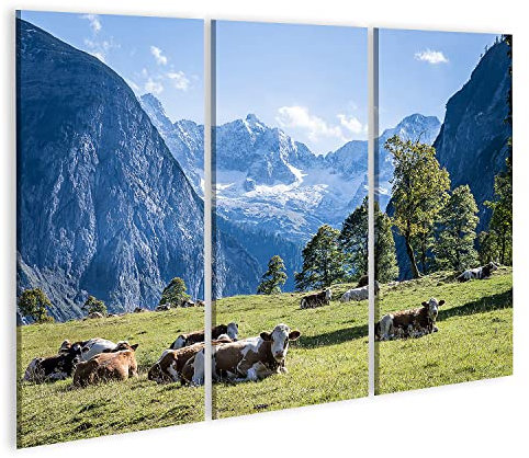 islandburner Bild auf Leinwand Kühe auf Wiese in den Bergen Alpen Kuhwiese Wandbild Poster Kunstdruck Bilder