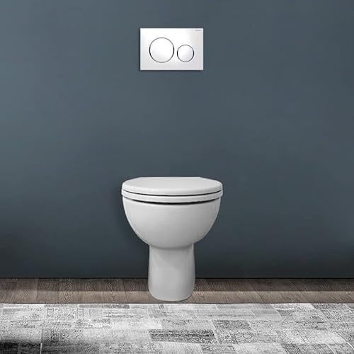 VASO MOD. COLIBRI 2 A PAVIMENTO SCARICO PARETE BIANCO POZZI GINORI (063561)