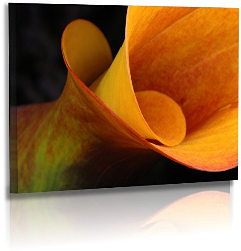 Premium - Leinwand - Blumenbild - Naturbilder - Blumenfotos - Calla - Orange - Wandbilder XXL - Blume - Bild - Callabilder - Blüte - Knospe - Abstrakte Bilder - Leinwandbild (40 cm x 30 cm)