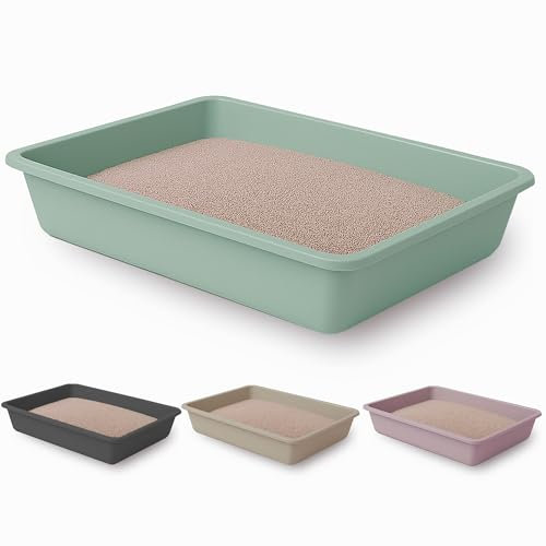 Arenero Gato – Caja Arenero para Gatos y 1 Comedero Bebedero – Fabricado en España - Materiales 100% Reciclados - Bandeja de Arena Sanitaria Higiénica Abierta para Gatos Medianos - Fácil de Limpiar