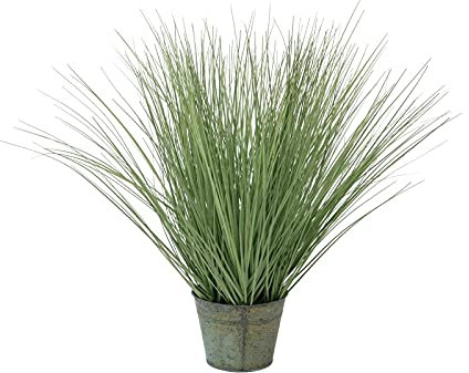 Europalms 82600145 Ornamental Grass, 65 cm