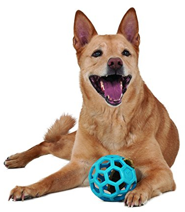 JW Hol-ee Hundespielzeug / Ball, Größe 12,7 cm, aus Gummi, Größe M