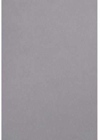 Netuno 20 Blatt Fotokarton Grau DIN A4 21 x 29,7 cm 300g Malmero Schiste dicker Bastelkarton farbig A4 für Visitenkarten Einladungen Basteln Kreativkarton bunt Farbkarton für Karten Feinkarton