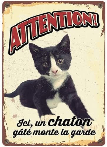 Plenty Gifts - Retro Plaque | 'Attention Here, A Spoiled Kitten Keeps Watch' | 21x14.8 cm | Indoor and Outdoor Wall Decor