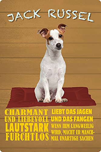 Blechschild 20x30cm gewölbt Jack Russel Hund Charakter Deko Geschenk Schild