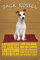 Blechschild 20x30cm gewölbt Jack Russel Hund Charakter Deko Geschenk Schild